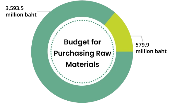 Budget for Purchasing Raw Materials 2023