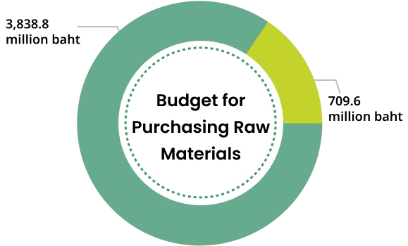 Budget for Purchasing Raw Materials 2024