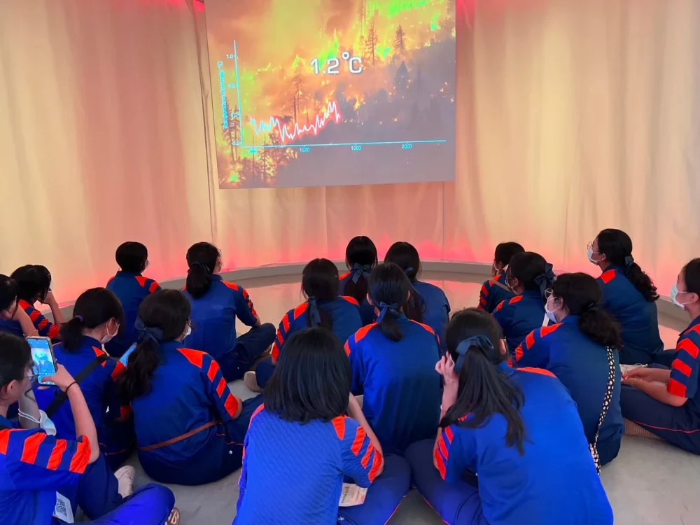 Tanland Learning Center - The Land of Balance